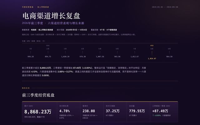 电商渠道增长复盘真实报告截图